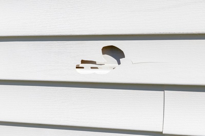 Sealing Cracks on Vinyl Siding